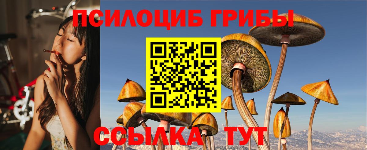 Псилоцибиновые грибы MAGIC MUSHROOMS  Вход с VPN  Иваново 